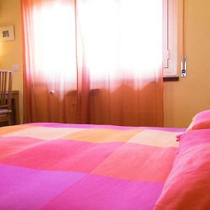 Belon B&B Poli Casilino